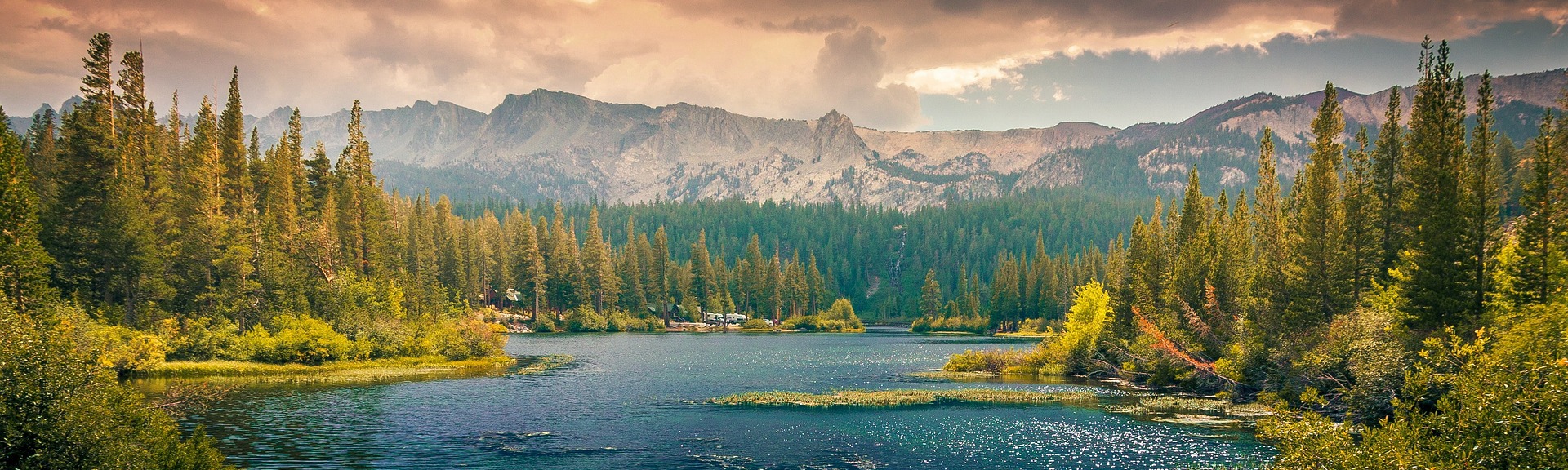 Brayden M. Wrenfordsley